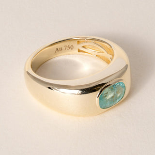 18K Yellow Gold 1.00 Carat Paraiba Tourmaline Oval Bezel Set Signet Ring